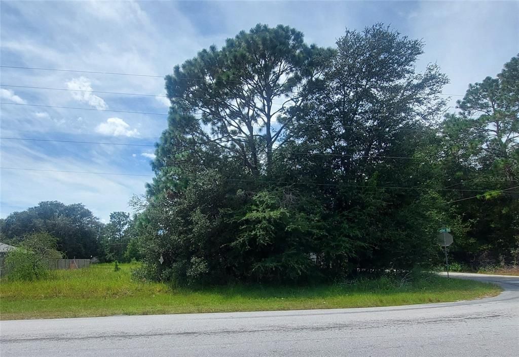 00 CEDAR ROAD, Ocala, FL 34472