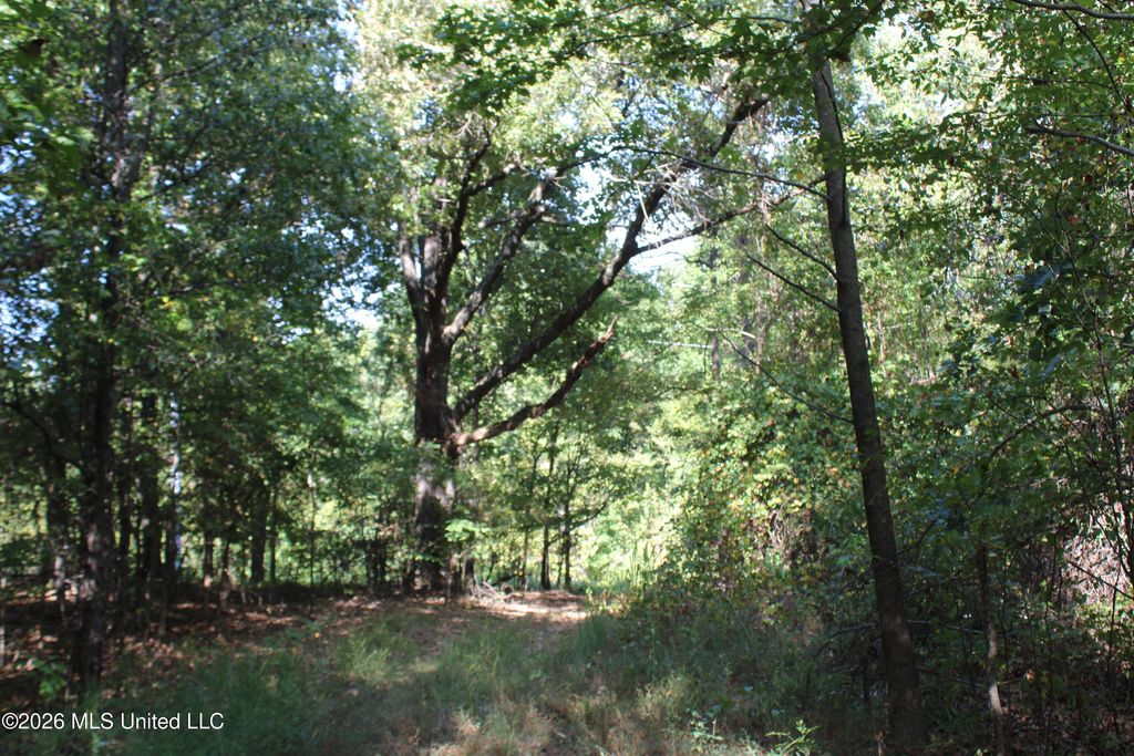 4 Star Landing Road, Nesbit, MS 38651 — photo 5