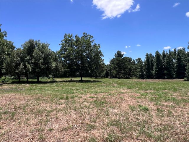 16926 County Road 4336, Larue, TX 75770