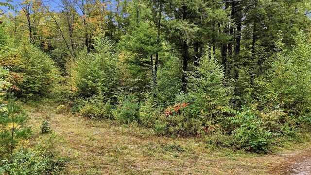 Lot 23 Access Road, Wakefield, NH 03872
