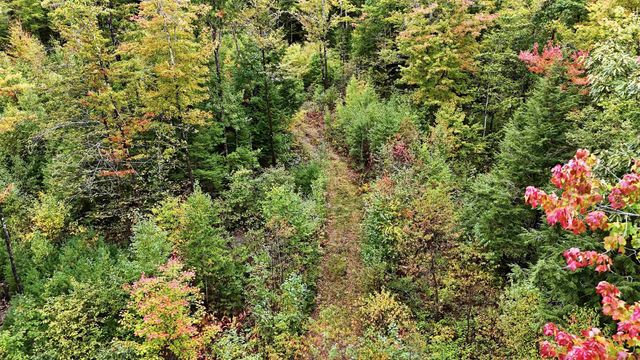Lot 23 Access Road, Wakefield, NH 03872