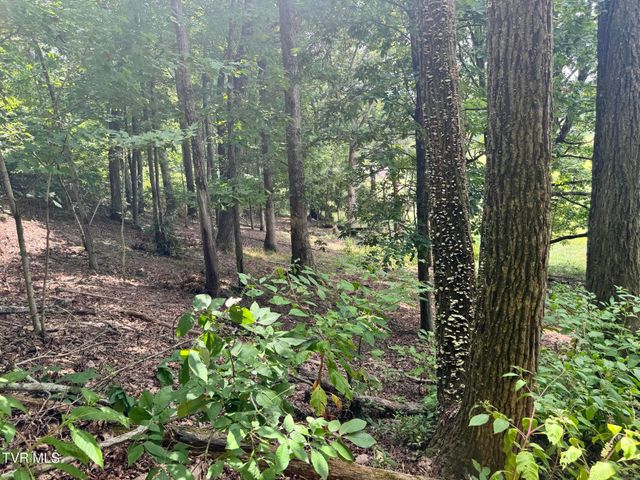 0 Old Knoxville Hwy Highway, Greeneville, TN 37743