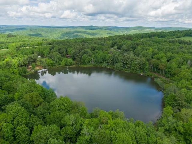 1565 Tupper Hill Road, Franklin, NY 13775