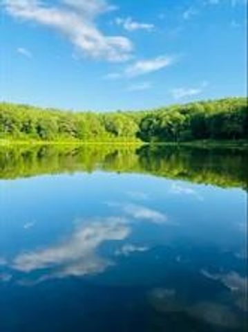 1565 Tupper Hill Road, Franklin, NY 13775