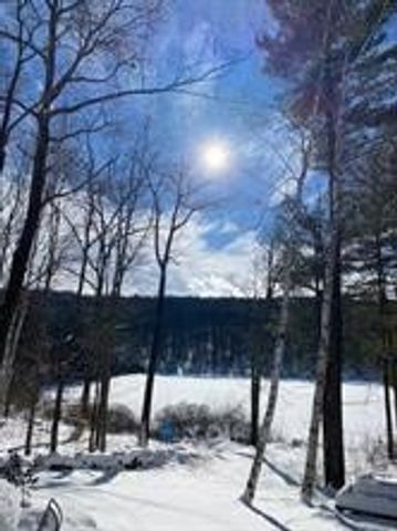 1565 Tupper Hill Road, Franklin, NY 13775