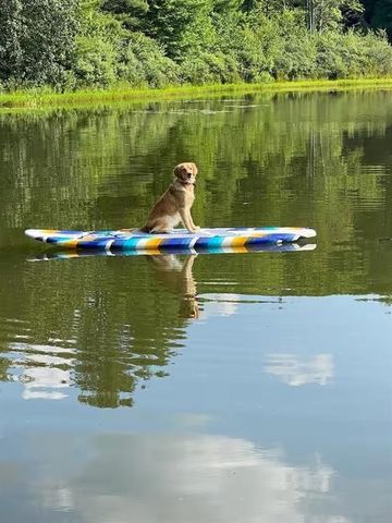 1565 Tupper Hill Road, Franklin, NY 13775