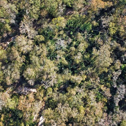 468A & 469B Royal Creek Road, Conroe, TX 77303