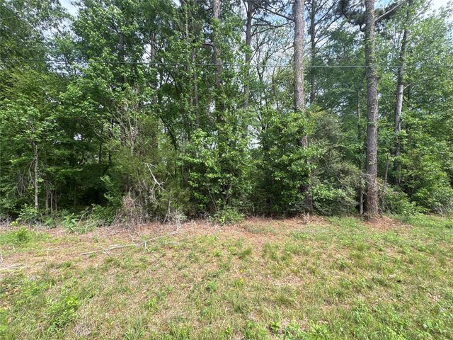 468A & 469B Royal Creek Road, Conroe, TX 77303