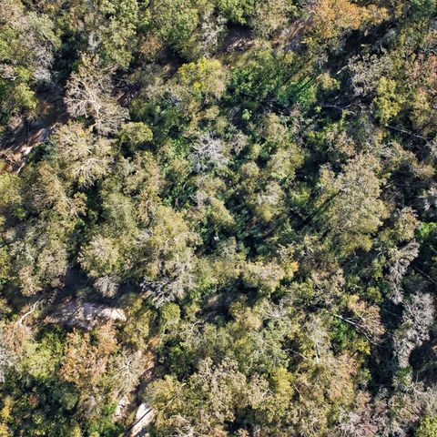 468A & 469B Royal Creek Road, Conroe, TX 77303