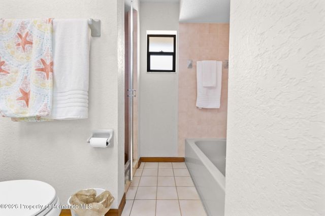 9111 Blaine Road, Spring Hill, FL 34608