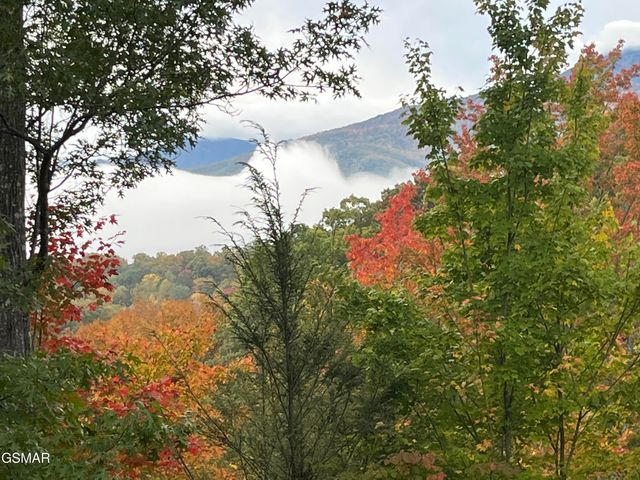 1178 Ogle Hills Road, Gatlinburg, TN 37738