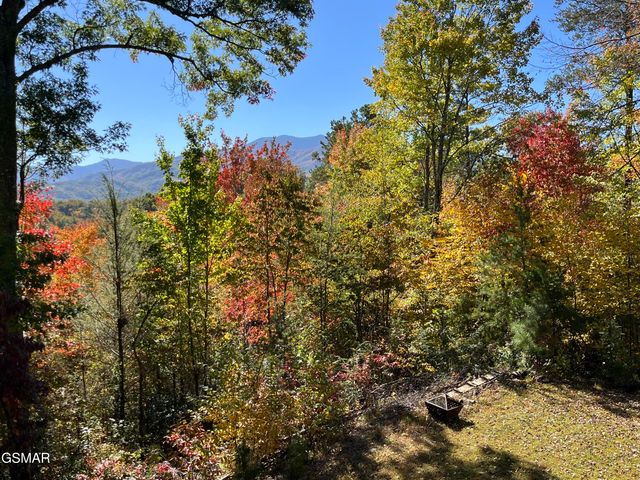 1178 Ogle Hills Road, Gatlinburg, TN 37738