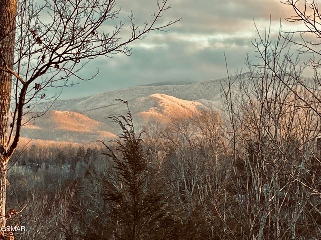 1178 Ogle Hills Road, Gatlinburg, TN 37738