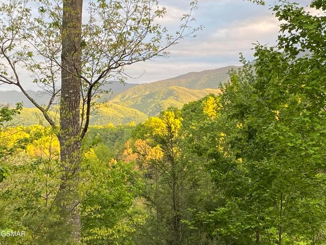 1178 Ogle Hills Road, Gatlinburg, TN 37738