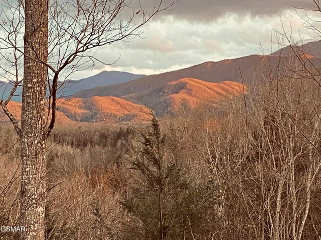 1178 Ogle Hills Road, Gatlinburg, TN 37738