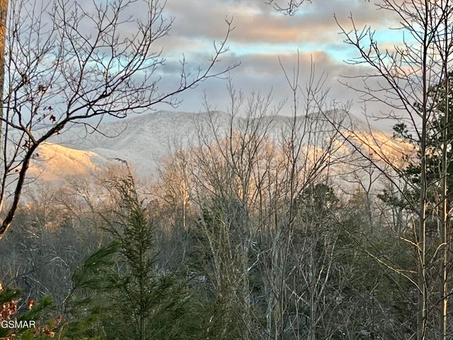 1178 Ogle Hills Road, Gatlinburg, TN 37738