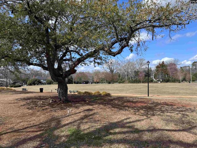 213 Hudson Street, Winnsboro, SC 29180