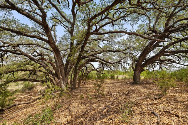 TBD County Road 207, Burnet, TX 78611