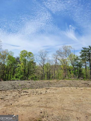 TRACT 4 Old Northcutt Road, Ellijay, GA 30540