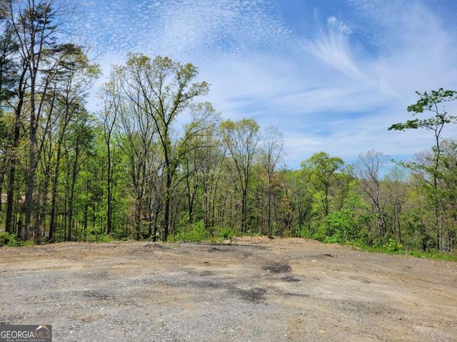 TRACT 4 Old Northcutt Road, Ellijay, GA 30540