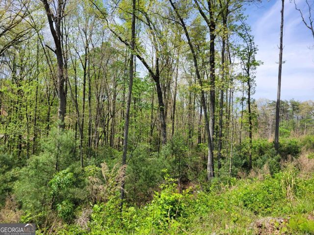 TRACT 4 Old Northcutt Road, Ellijay, GA 30540