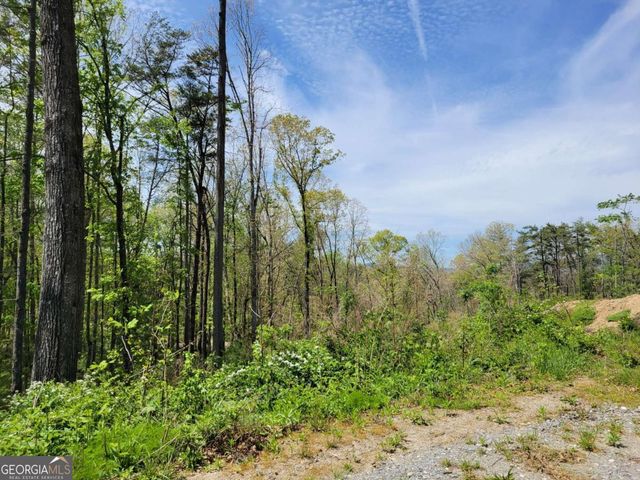 TRACT 4 Old Northcutt Road, Ellijay, GA 30540