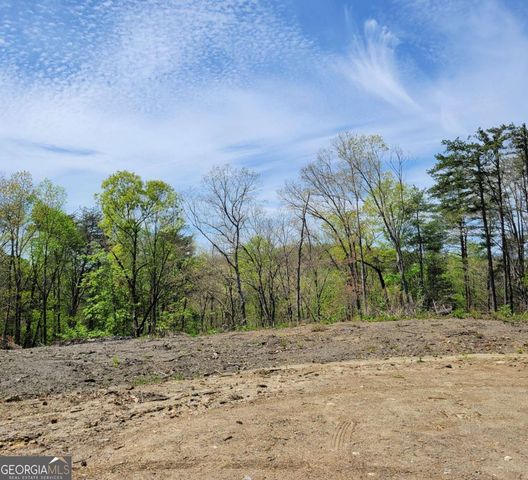 TRACT 4 Old Northcutt Road, Ellijay, GA 30540