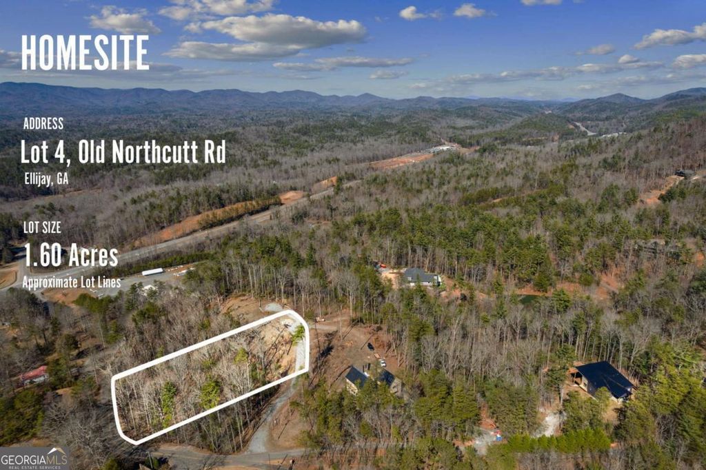 TRACT 4 Old Northcutt Road, Ellijay, GA 30540