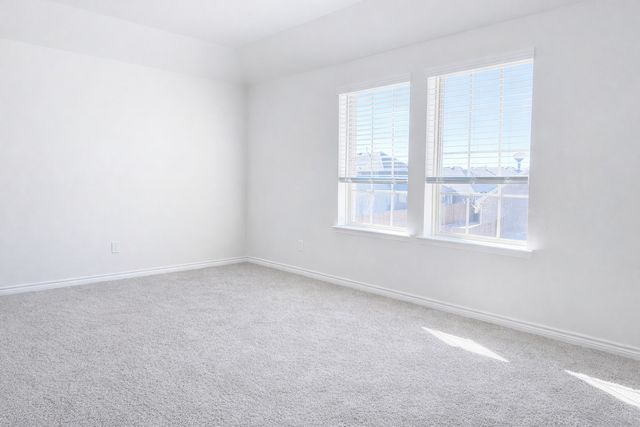 4019 Cribbing Trail, Aubrey, TX 76227