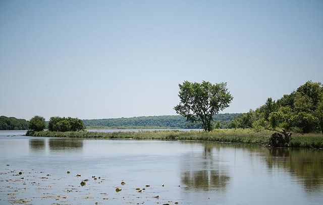 10791 Henslowe Avenue S, Cottage Grove, MN 55016