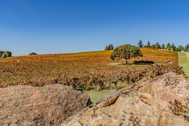 12551 Steiner Rd, Plymouth, CA 95669