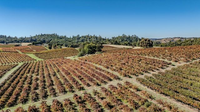 12551 Steiner Rd, Plymouth, CA 95669