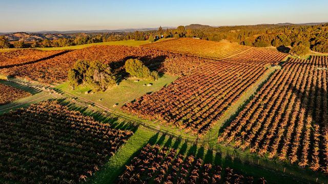 12551 Steiner Rd, Plymouth, CA 95669