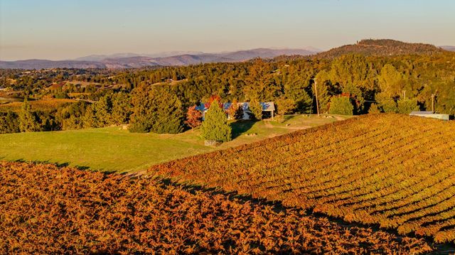 12551 Steiner Rd, Plymouth, CA 95669