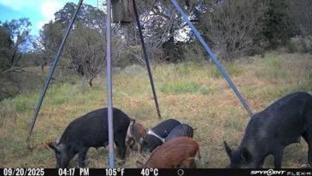 0 County Road 110, Burnet, TX 78611