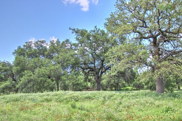 0 County Road 110, Burnet, TX 78611