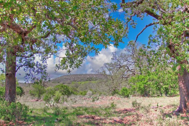 0 County Road 110, Burnet, TX 78611