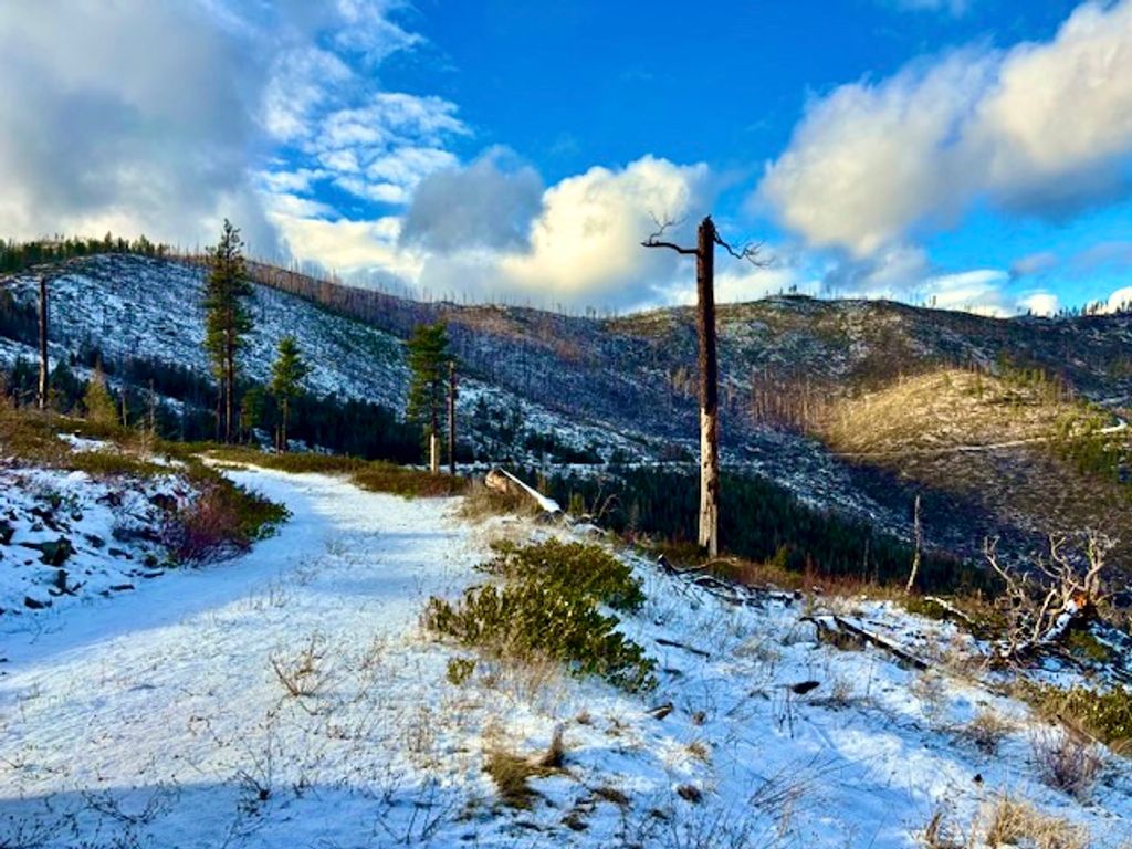 0 West Fork Combest Creek Road, Other, MT 59859 photo 22