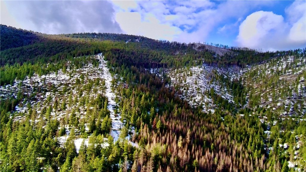 0 West Fork Combest Creek Road, Other, MT 59859 photo 24