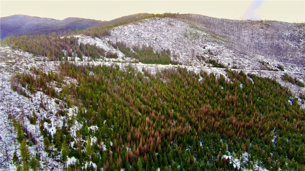 0 West Fork Combest Creek Road, Other, MT 59859 photo 28