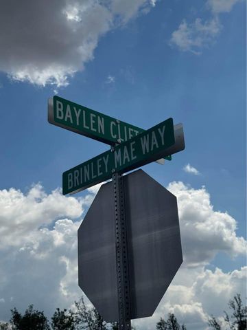 225 Brinley Mae WAY, Lockhart, TX 78644