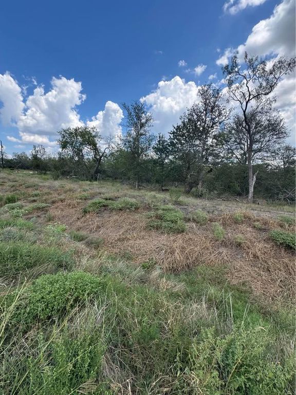 225 Brinley Mae WAY, Lockhart, TX 78644