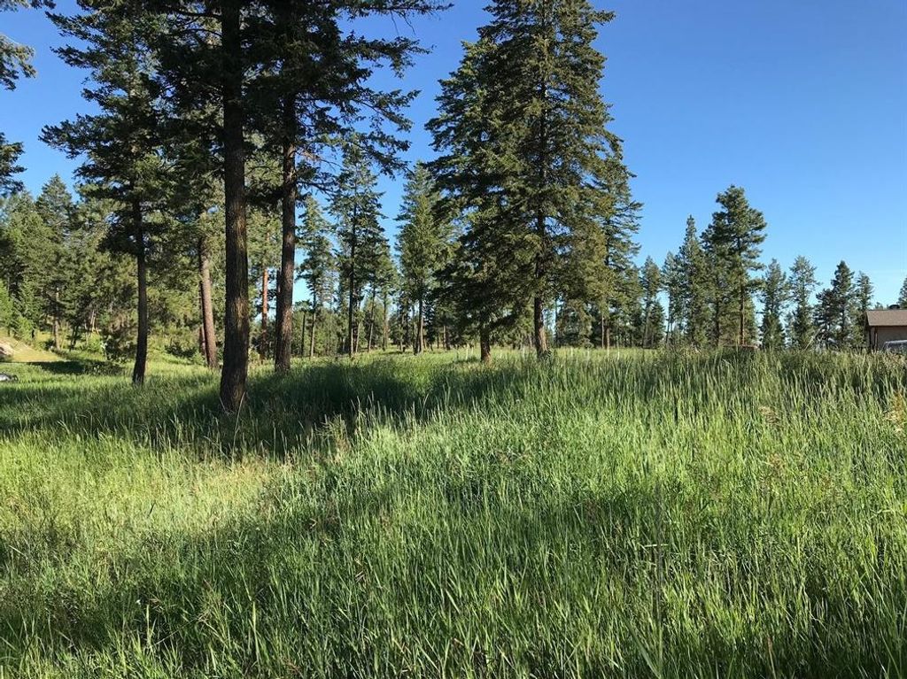 Lot 2 Black Lake Road, Rexford, MT 59930 photo 3