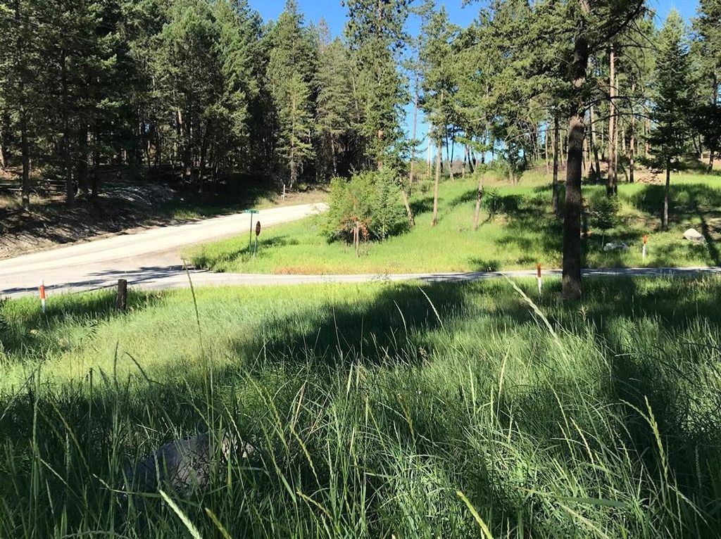 Lot 2 Black Lake Road, Rexford, MT 59930 photo 4