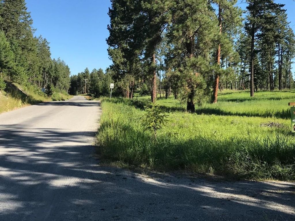 Lot 2 Black Lake Road, Rexford, MT 59930 photo 5