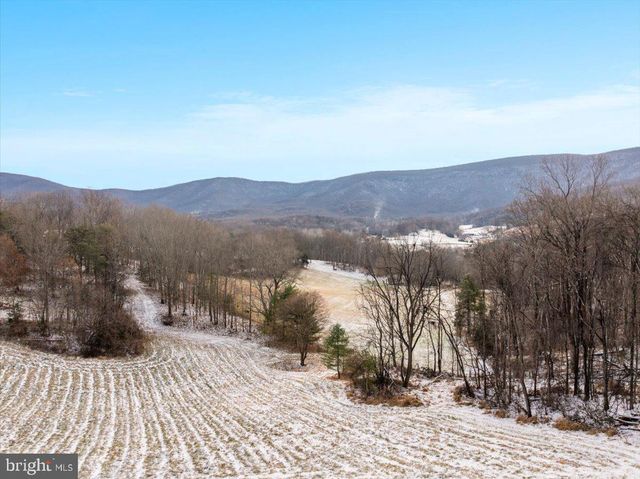 472 WESLEY LN, Bentonville, VA 22610