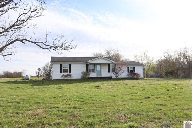 3235 State Route 80 W, Mayfield, KY 42066