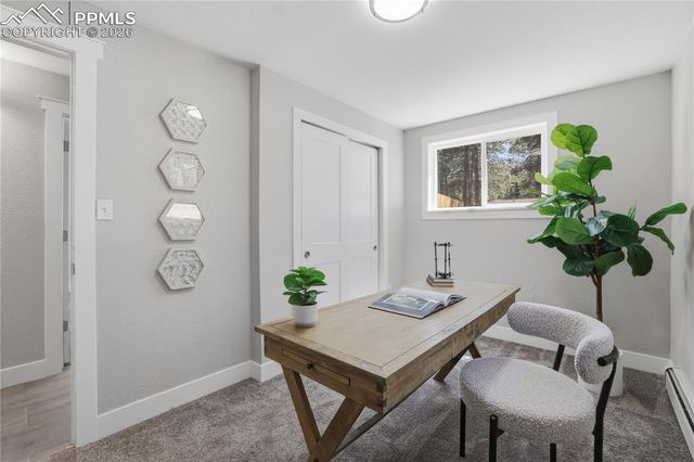 307 Evergreen Street, Woodland Park, CO 80863