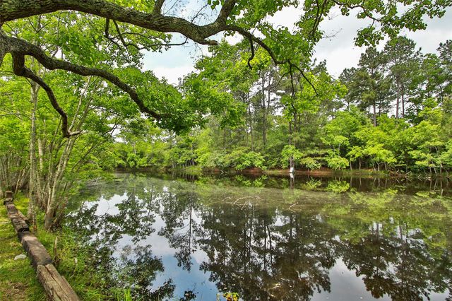 30115 Misty Meadow Drive, Magnolia, TX 77355