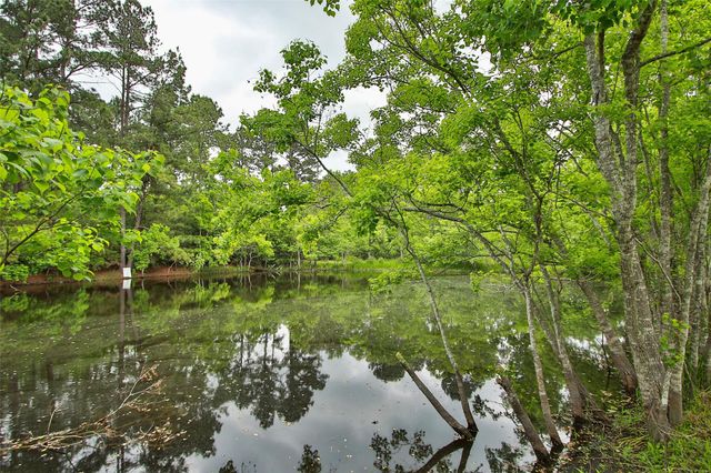 30115 Misty Meadow Drive, Magnolia, TX 77355
